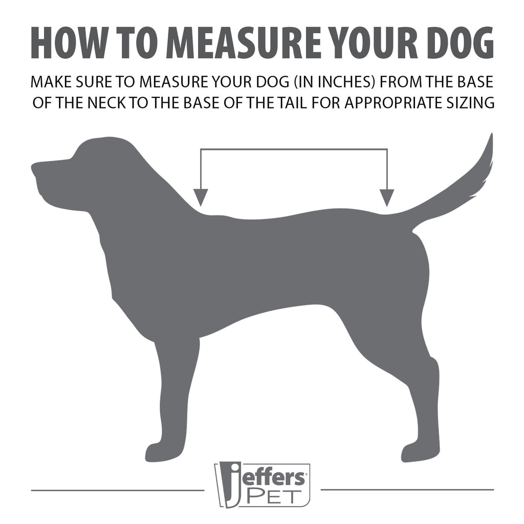 Insulated Ripstop Dog Coat by Jeffers