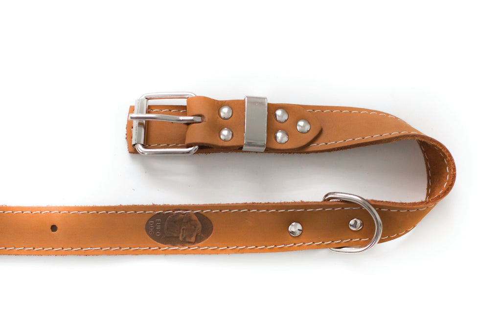 Everyday Companion Leather Dog Collar by Euro-Dog