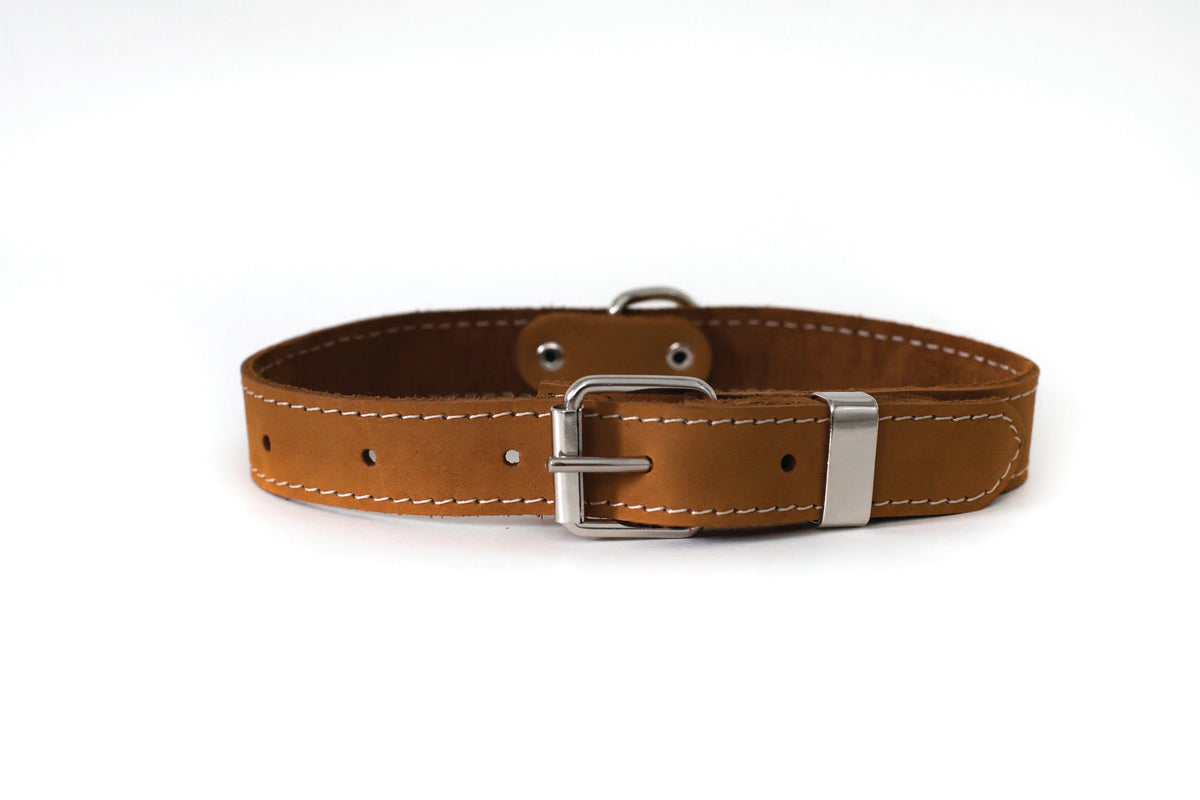 Everyday Companion Leather Dog Collar by Euro-Dog