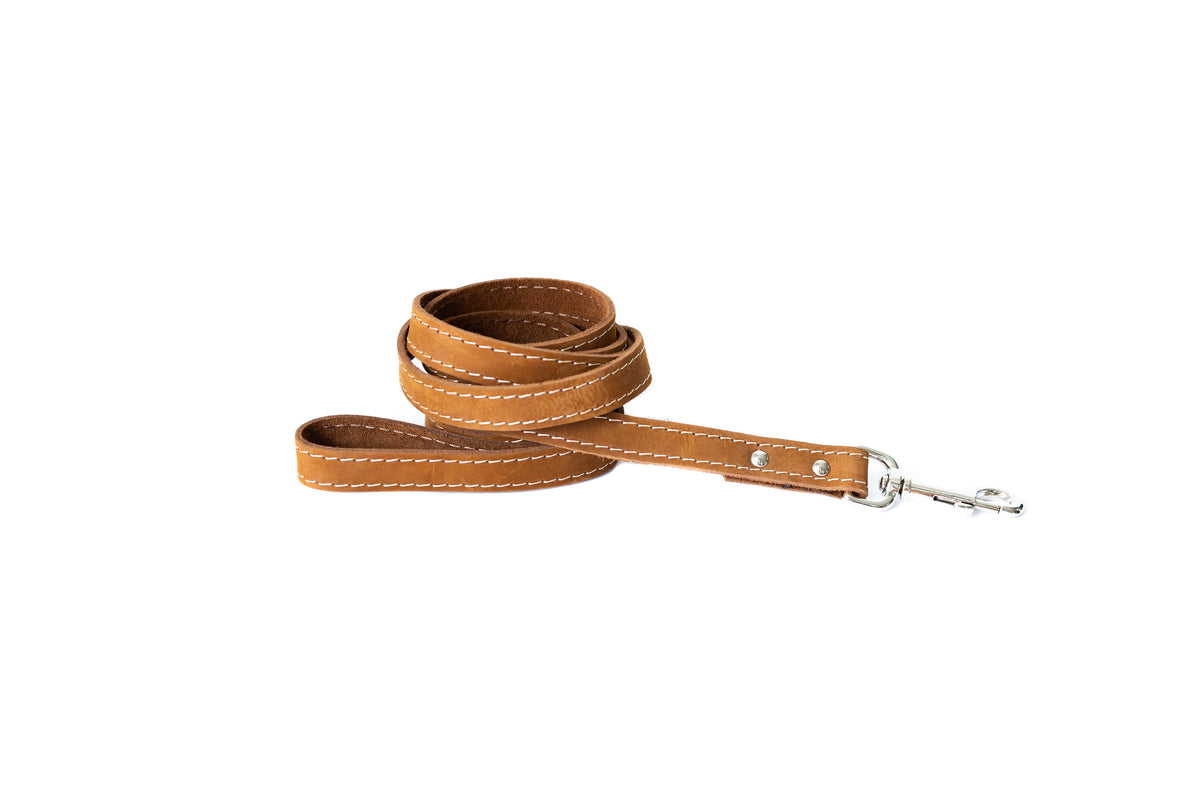 Everyday Companion Leather Dog Leash by Euro-Dog — 6 ft