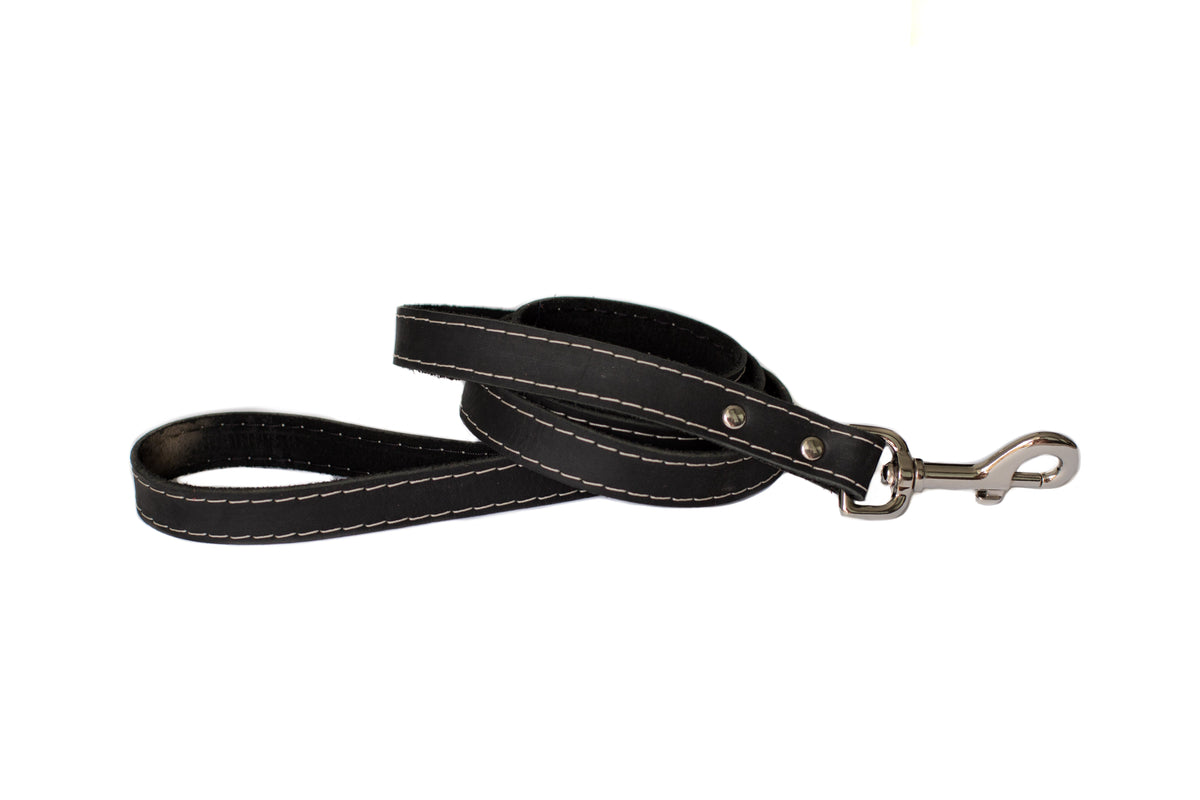 Everyday Companion Leather Dog Leash by Euro-Dog — 6 ft