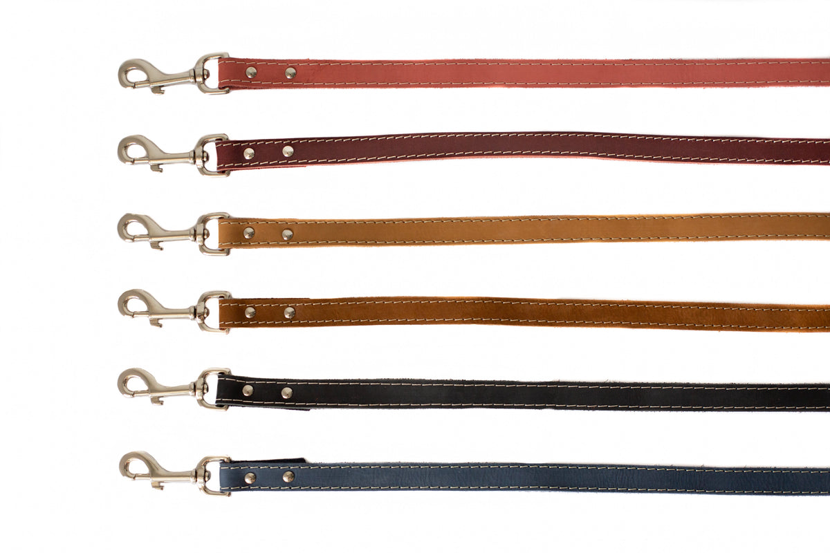 Everyday Companion Leather Dog Leash by Euro-Dog — 6 ft