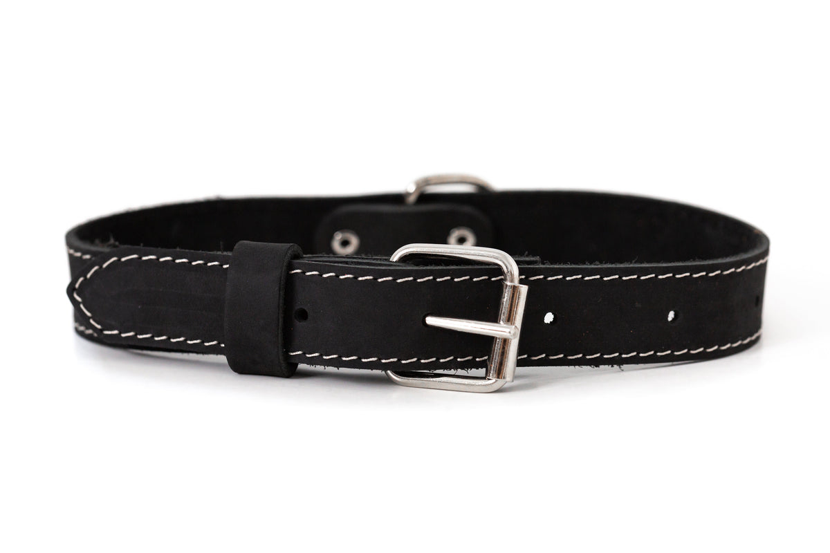 Everyday Companion Leather Dog Collar by Euro-Dog