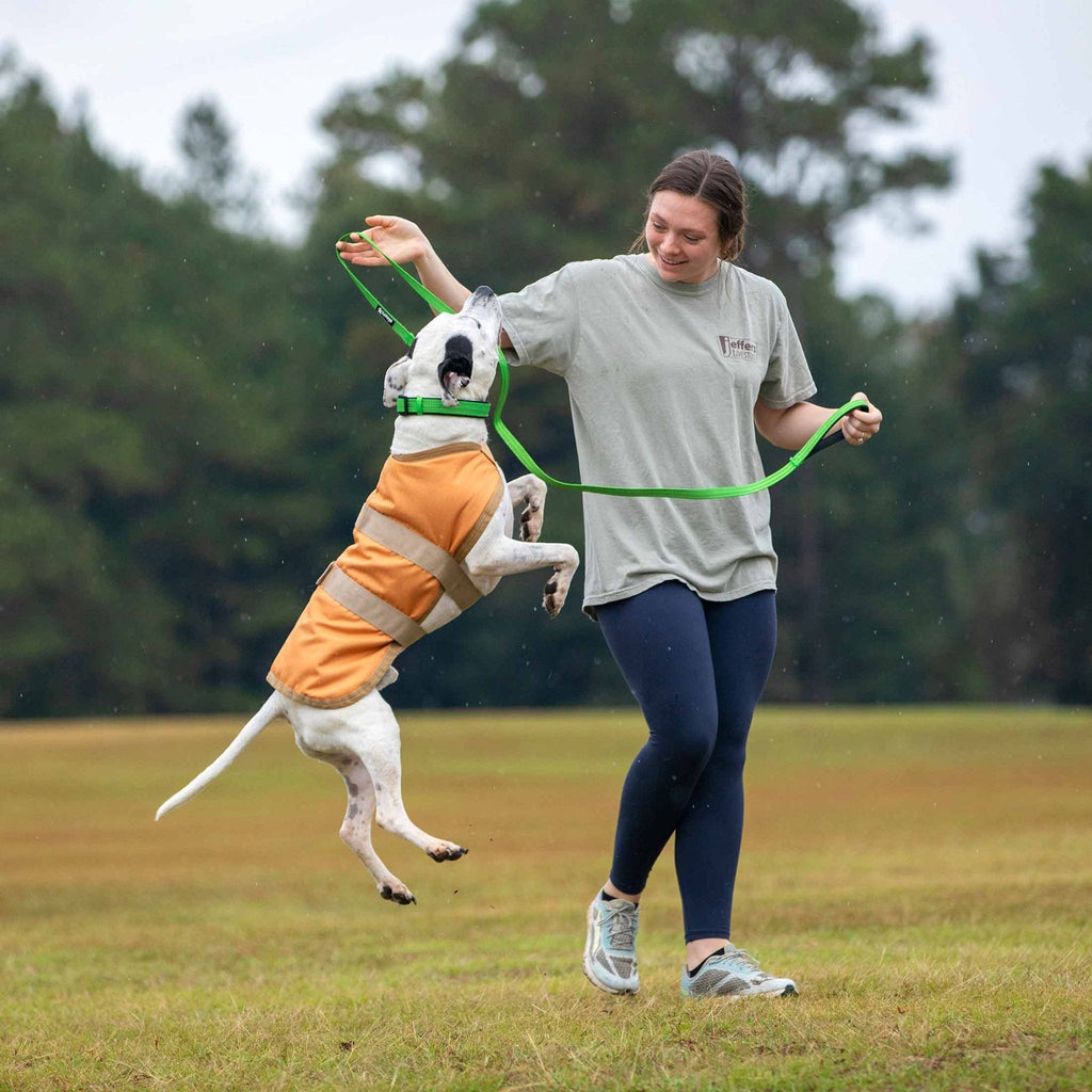 Insulated Ripstop Dog Coat by Jeffers