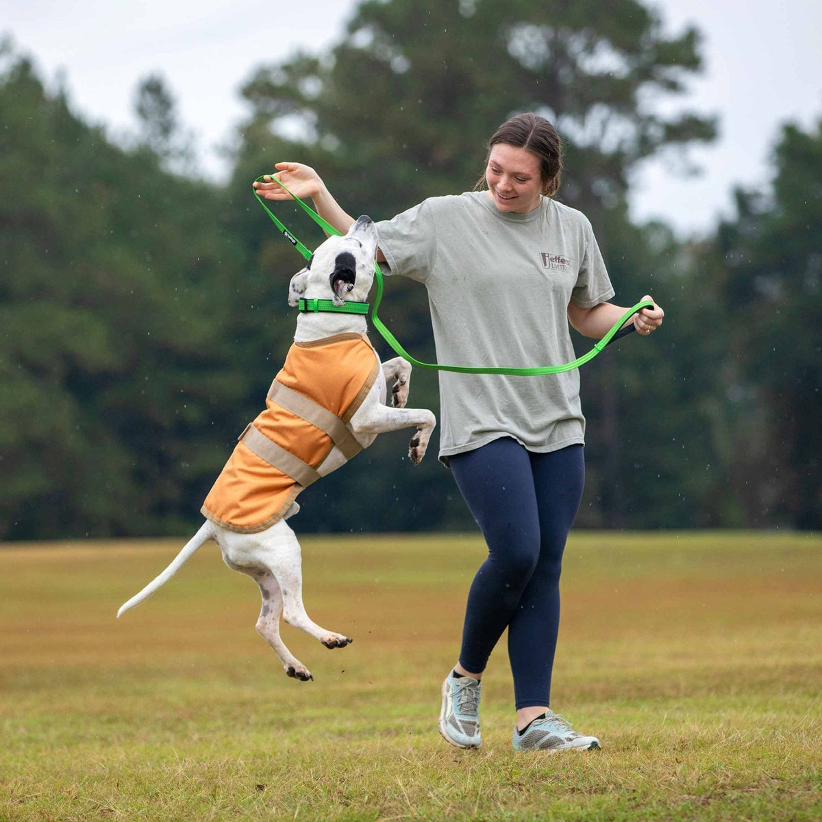 Insulated Ripstop Dog Coat by Jeffers