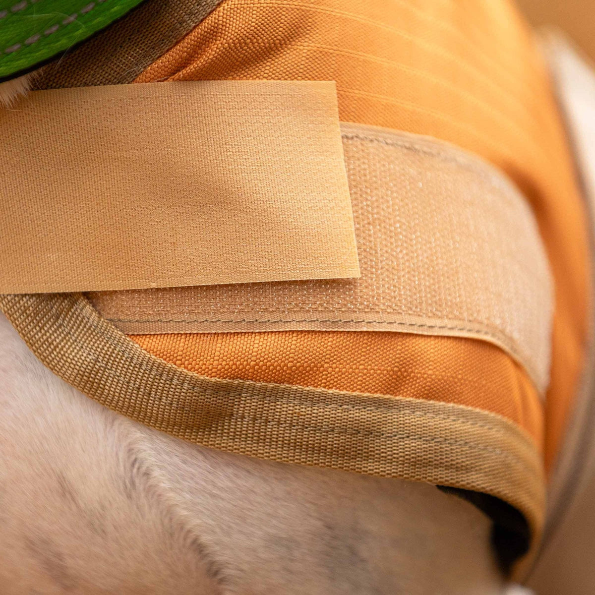 Insulated Ripstop Dog Coat by Jeffers
