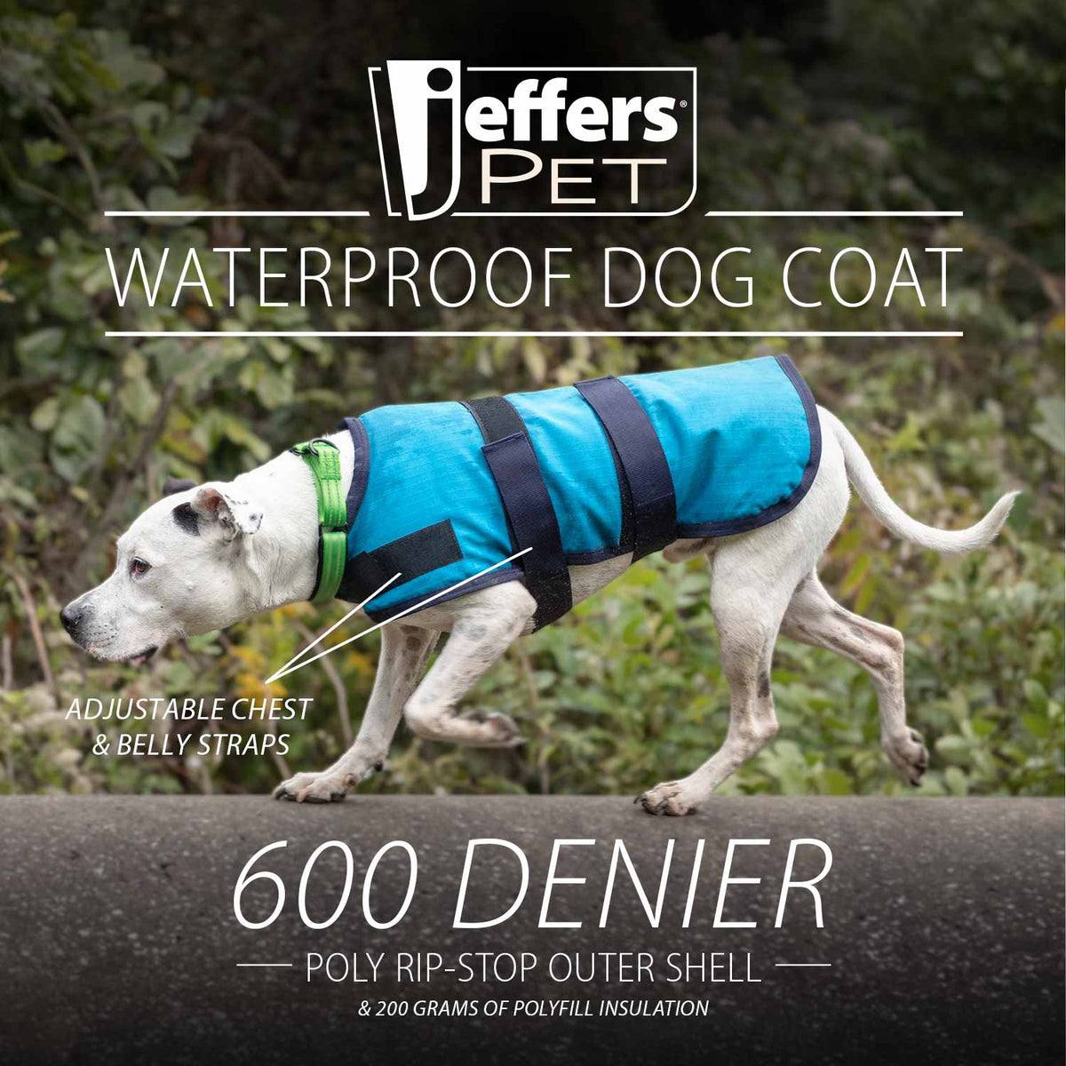 Insulated Ripstop Dog Coat by Jeffers